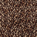 New Leopard Beige