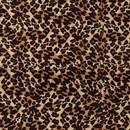 New Leopard Beige