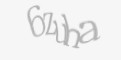 Защитный код