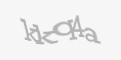 Защитный код