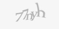 Защитный код