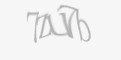Защитный код