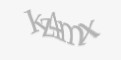 Защитный код
