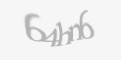 Защитный код